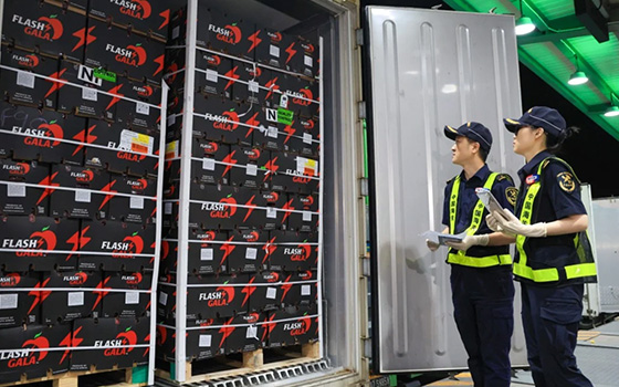 Trade Policy, Duty-Free Access, Exports, China-SA Relations
