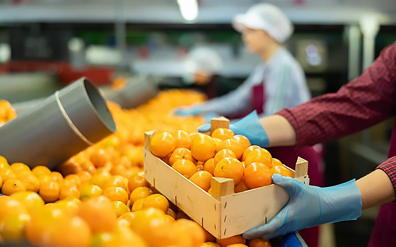 Agriculture, Exports, China-SA Trade